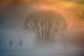 963 - PETIT MATIN - GILSON GUY - belgium